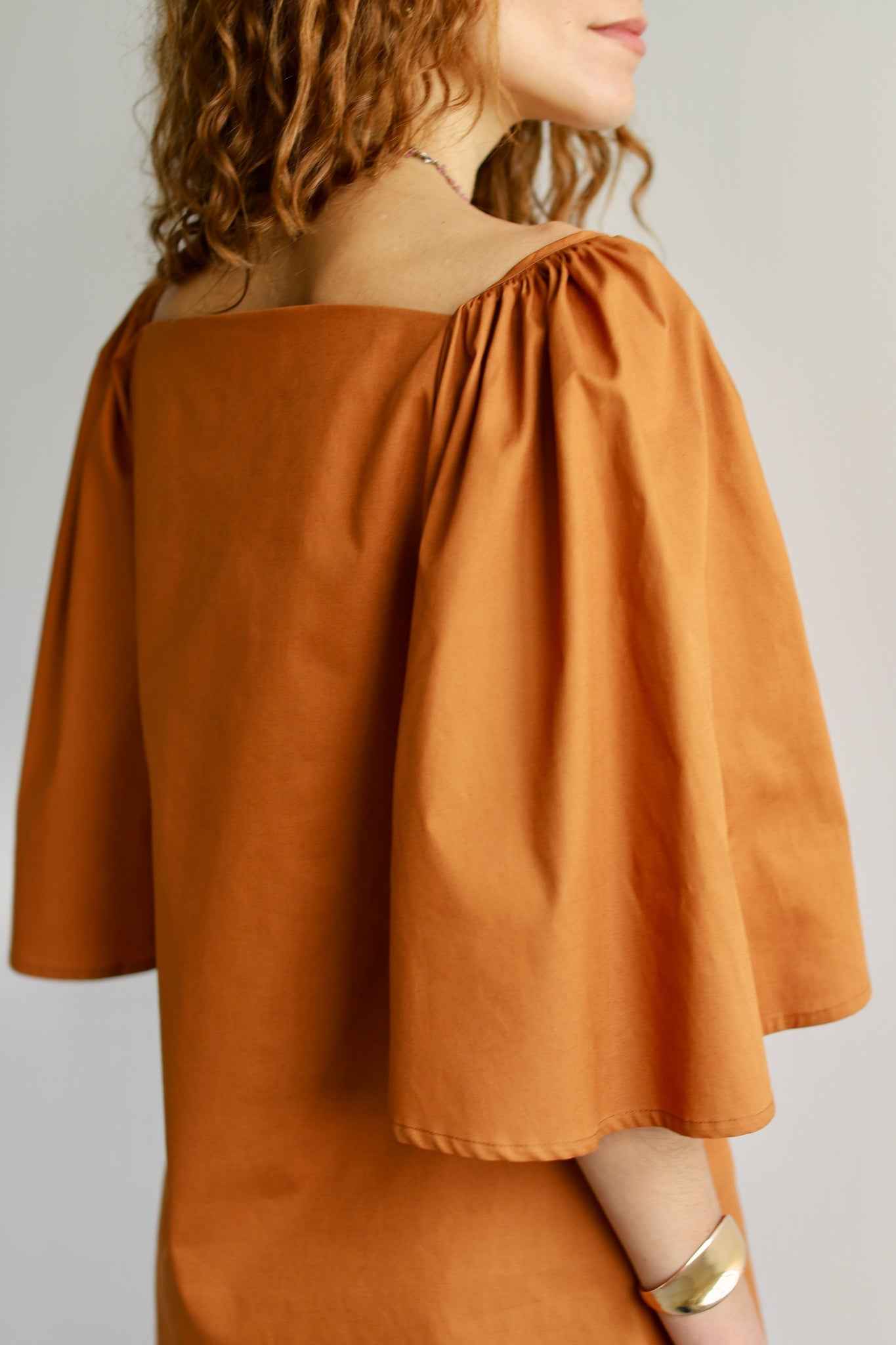 Delphine Mini Dress in Rust