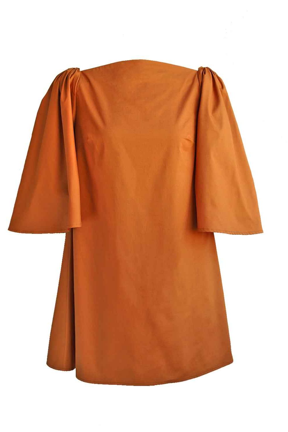 Delphine Mini Dress in Rust