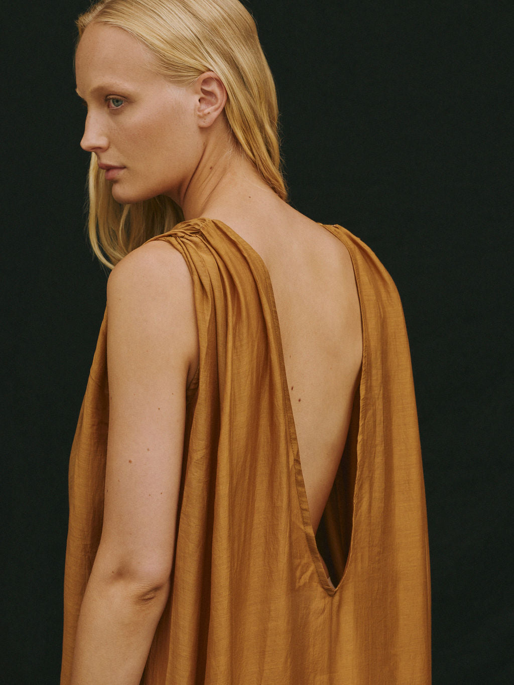 VENUS DRESS