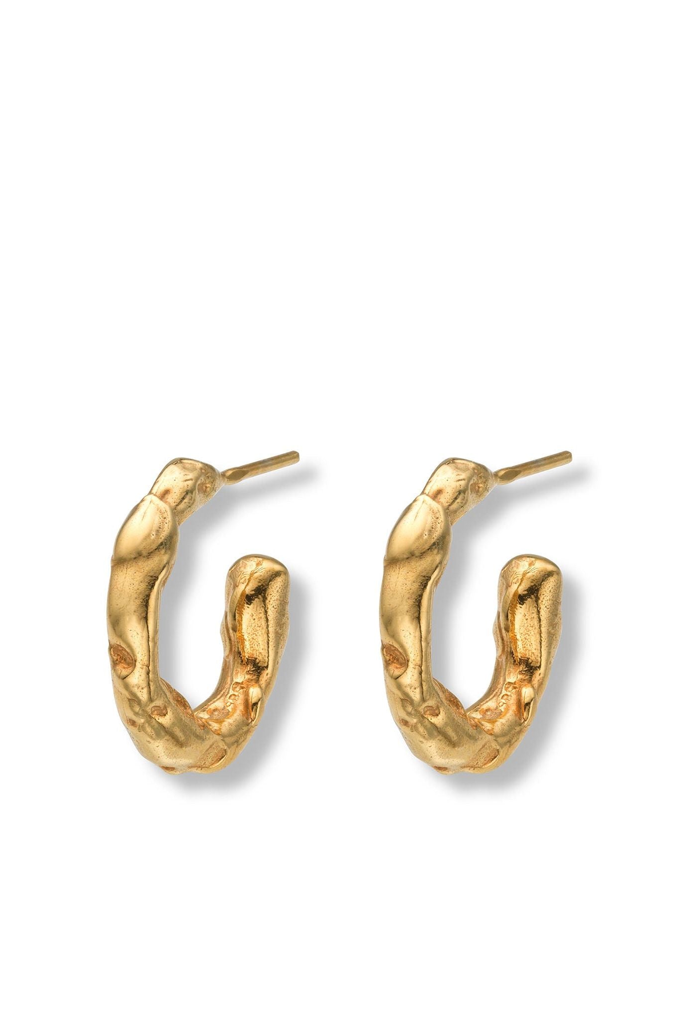 Talisman Small Hoop Earrings Gold