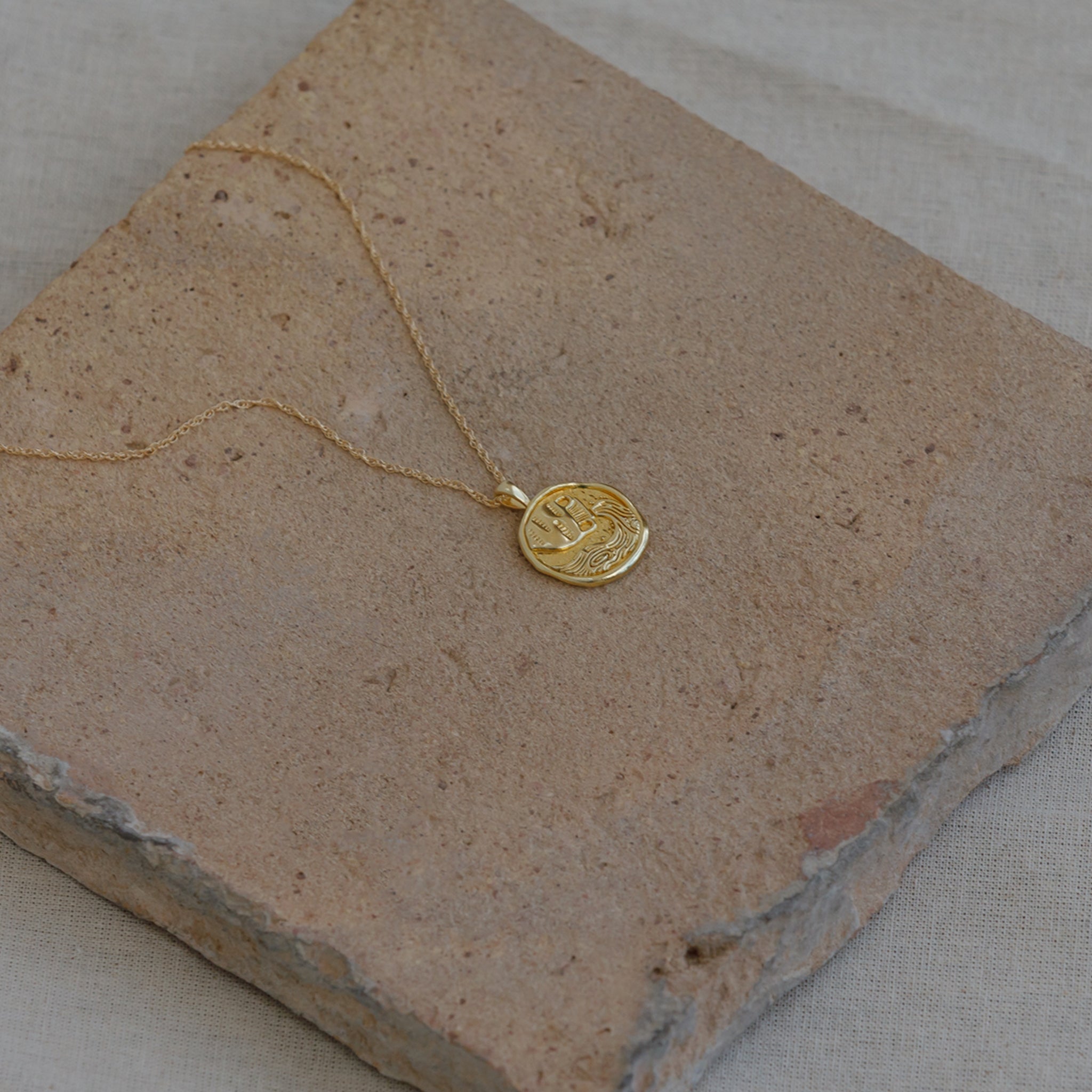 Aquarius Zodiac Coin Pendant Necklace